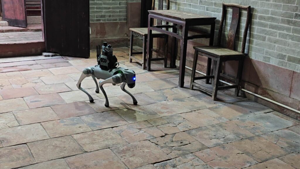 dog-indoor-web
